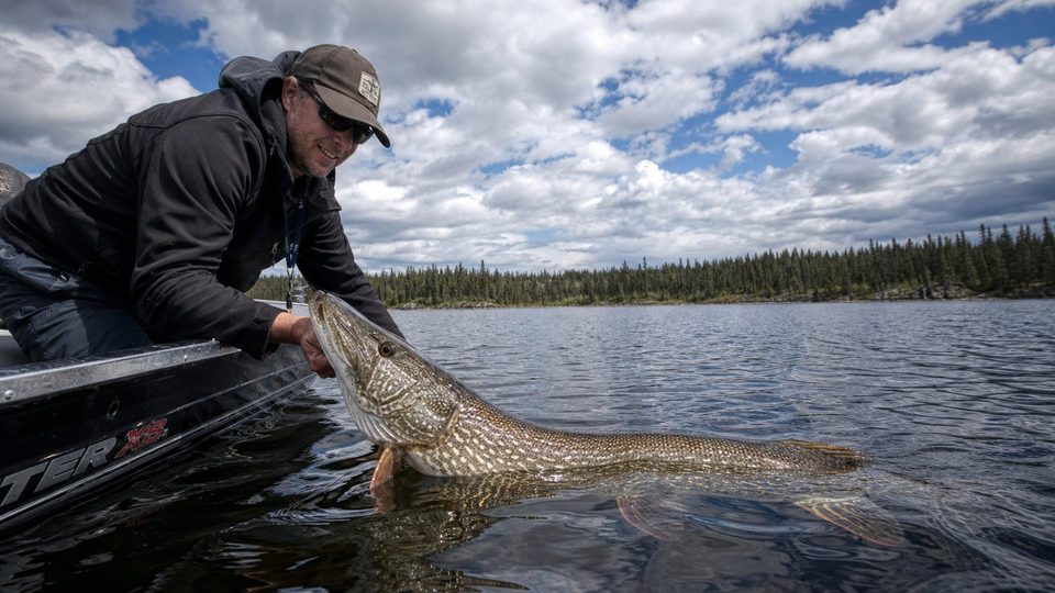 Sask Fishing: Trophy Northern Pike, Walleye, and Remote Boreal Waters