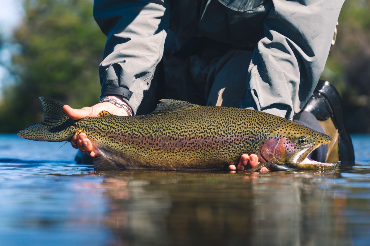 What to Bring on Your First Guided Fishing Trip